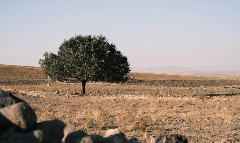 « Signe tout à mon nom ! Pourquoi tu l’as crue, elle ? Elle te manipule ! » – Mon combat pour ma fille, ma maison et ma dignité après la trahison de mon mari