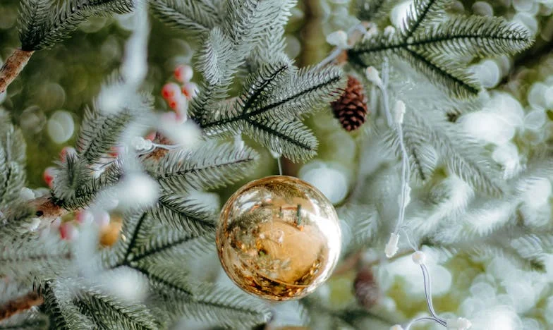 Adieu sur les rives de la Loire : Les derniers mots de mon frère