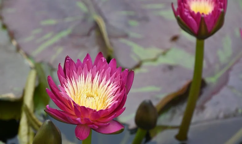 « Babou, pourquoi tu es toujours triste ? » : Le jour où ma petite-fille a brisé mon silence