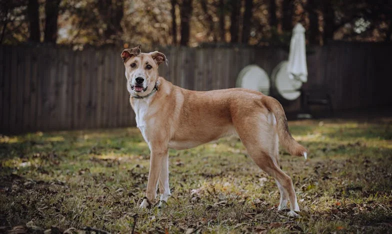 « Comment as-tu pu ramener cette fille à la maison ? Elle n’a même pas de diplôme, elle n’est qu’une serveuse » : Mon histoire d’amour face au mépris familial