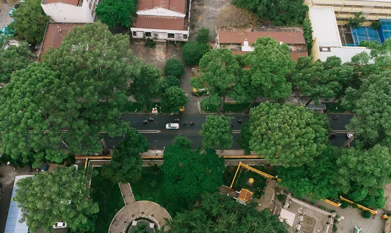 Comment j'ai mis fin aux visites impromptues de ma cousine pendant les fêtes (et déclenché une tempête familiale)