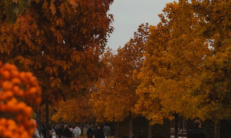 « Entre ma belle-mère et moi, la guerre froide : comment l’amour de ma vie a failli me coûter ma famille »