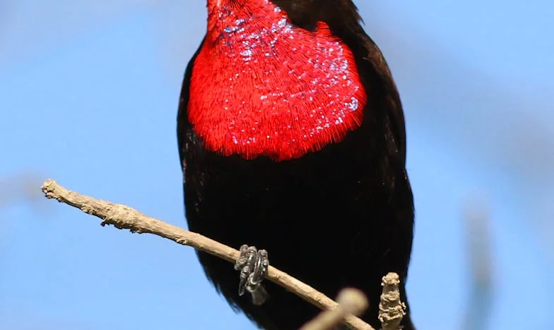 « Je croyais qu’il travaillait tard pour notre avenir… Jusqu’à ce que la voisine me révèle la vérité »