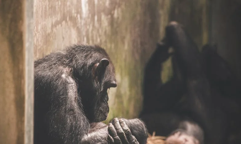 « Je ne suis plus un paillasson » : Mon combat pour exister dans ma propre famille