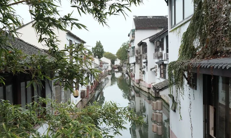 « Marie, tu dormiras désormais dans la cuisine » – Le cri silencieux d’une mère oubliée chez elle