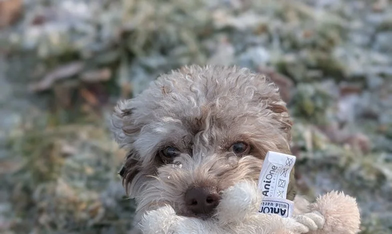 Nouvel An, nouvelle vie : Mon divorce après 35 ans de mariage