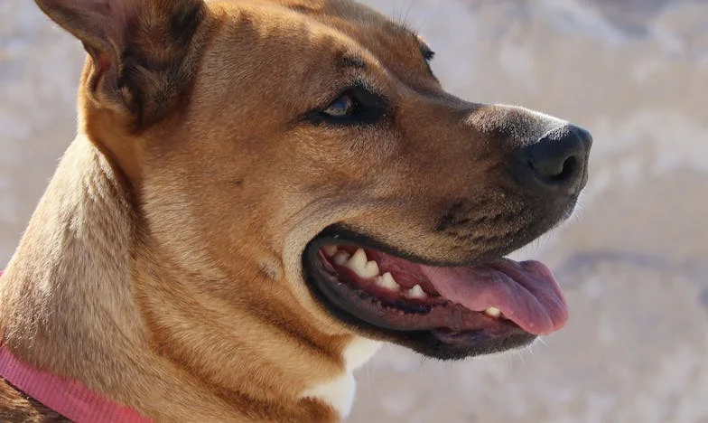 Pourquoi je refuse de donner un double des clés à ma mère : chronique d'une fille française en quête de liberté