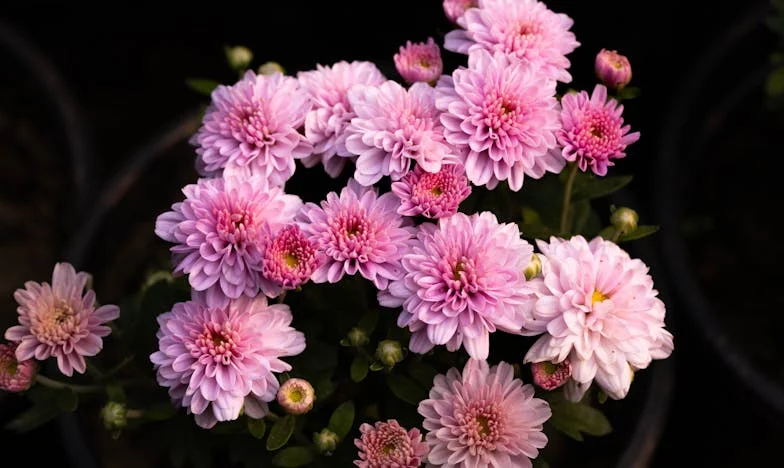 Seconde chance : Comment une seule vérité a brisé ma famille