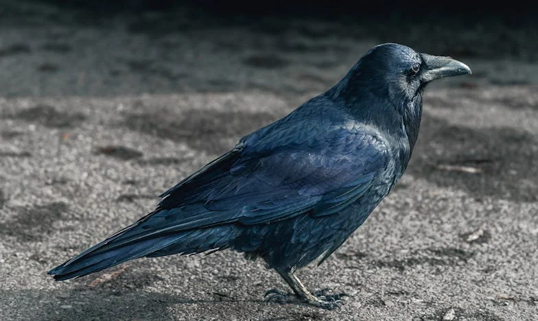 À soixante-dix ans, j'ai aimé pour la première fois… et découvert son secret