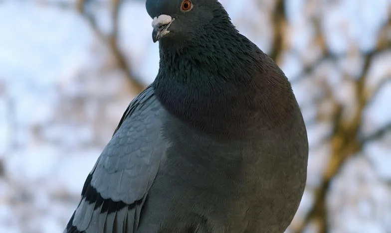 Comment un retour inattendu dans mon village natal a bouleversé ma vie : le jour où j'ai revu mon père après dix ans de silence
