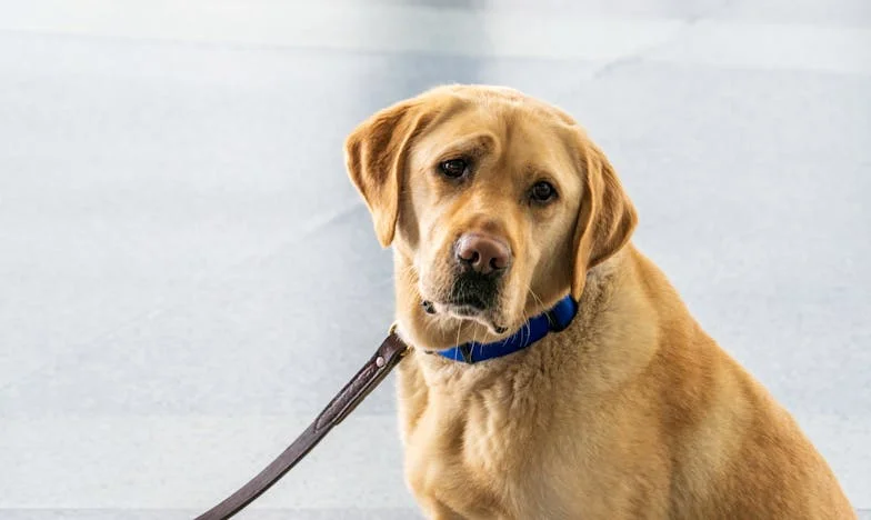 Deux visages, une vérité : Quand la naissance de mes jumeaux a fait exploser les secrets de ma famille