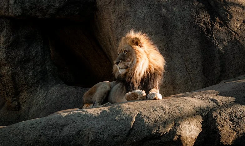 Entre les murs de ma vie : Quand ma fille a voulu vendre la maison familiale