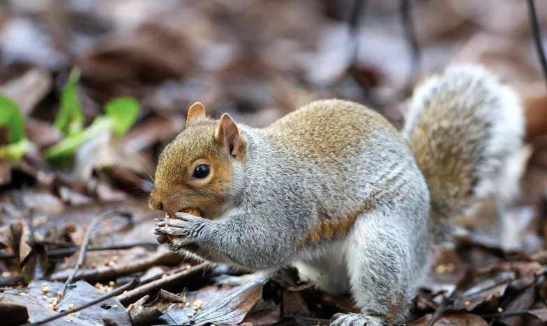 Entre Maman et Moi : Le Combat Silencieux pour le Cœur de Paul