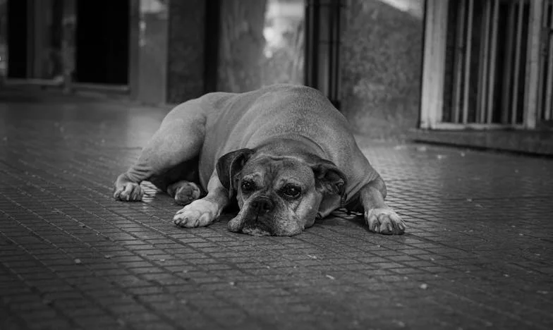 Épuisée par la maternité : quand l’arrivée d’un troisième enfant bouleverse tout