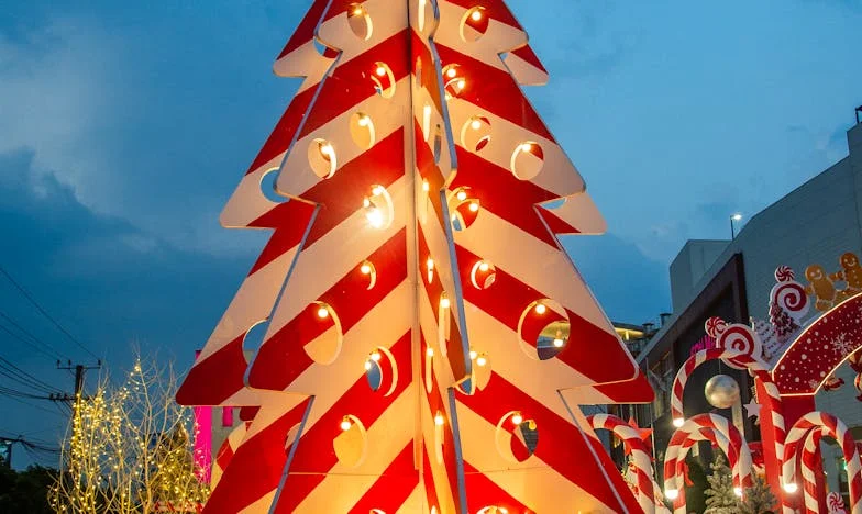 Être fille, être sœur : Mon combat entre devoir familial et droit au bonheur