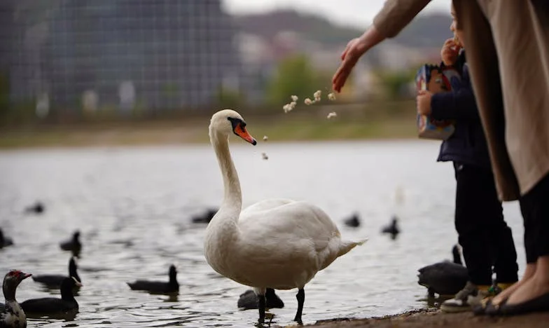 J'ai annulé mon mariage après avoir surpris mon fiancé avec son ex-femme et ses enfants : Mon histoire