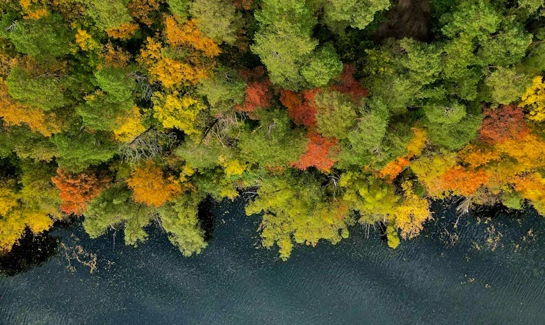 La nouvelle épouse de mon fils a brisé notre famille : y a-t-il un retour possible ?