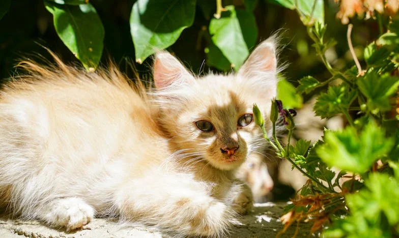 « Le jour où j’ai ouvert la lettre de mon mari : le secret qui a bouleversé notre vie »