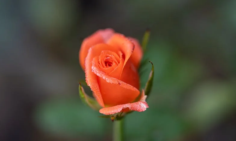 Le jour où les enfants de mon mari ont voulu nous chasser de notre villa au bord du lac