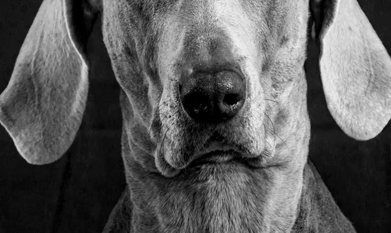 Ma belle-mère a tout pris – même la bouilloire ! Le jour où j’ai failli tout perdre chez moi