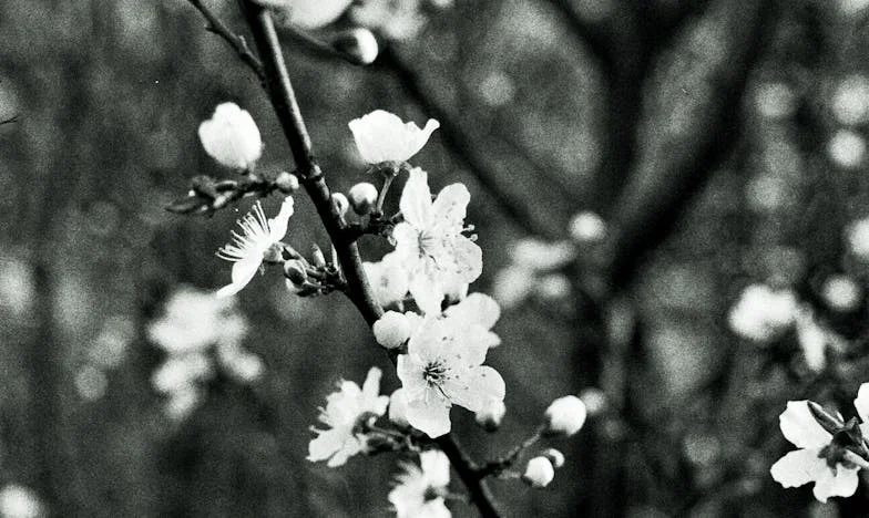Pourquoi es-tu entrée dans mon appartement sans moi ? – Secrets et trahisons d’une famille parisienne