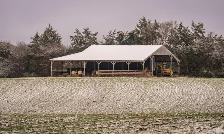 Prise au piège entre l’amour et la réalité : Mon cœur face à la famille de Guillaume