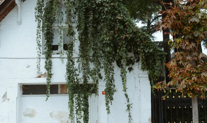 Quand Camille a repris son souffle : Mon combat entre la foi, la perte et l’espoir