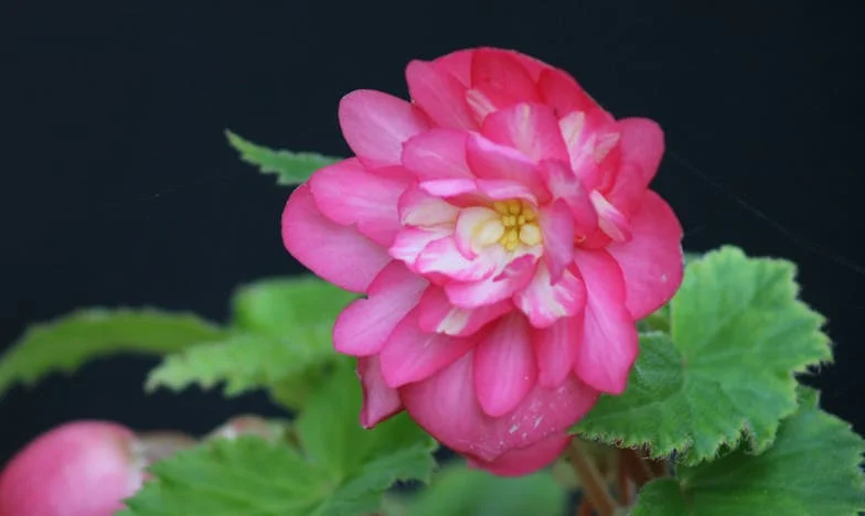 Quand l'amour ne suffit plus : Mon histoire avec Julien