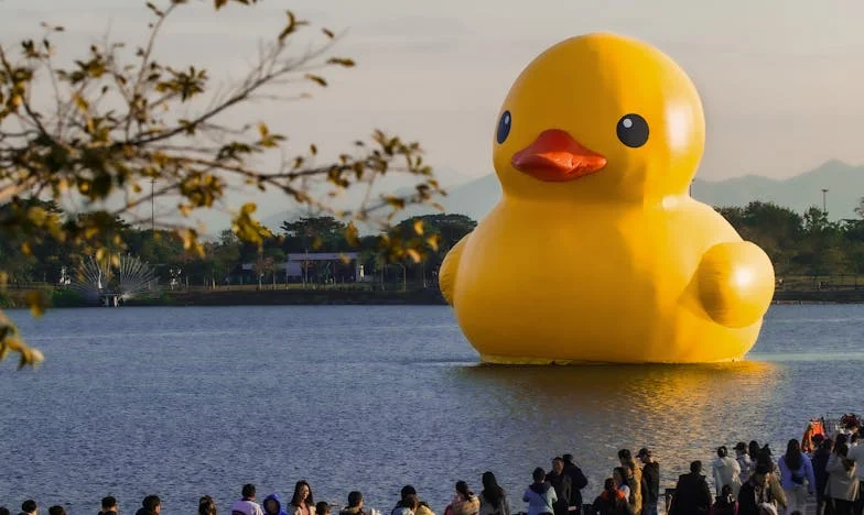 Quand l'amour se compte en euros : Mon mariage au bord du gouffre