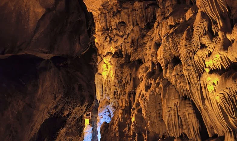 « Qu’est-ce qu’on mange ce soir ? Pourquoi rien n’est prêt ? » : Quand la famille abuse, il faut savoir dire stop