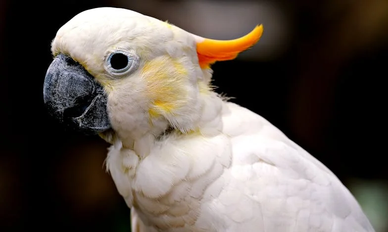 Sous l’ombre de ma belle-mère : une promenade qui a tout changé