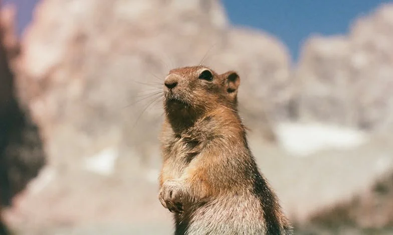 Une nuit au commissariat : Comment l’angoisse d’une mère a bouleversé ma vie
