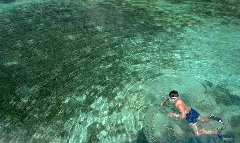 Vacances interdites : Comment une semaine à Biarritz a brisé ma famille