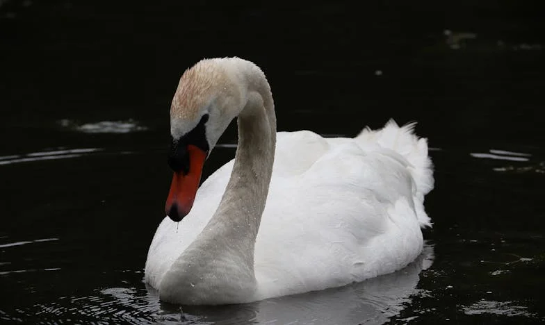 Après douze ans de mariage, le fils caché de mon mari bouleverse ma vie : que feriez-vous à ma place ?