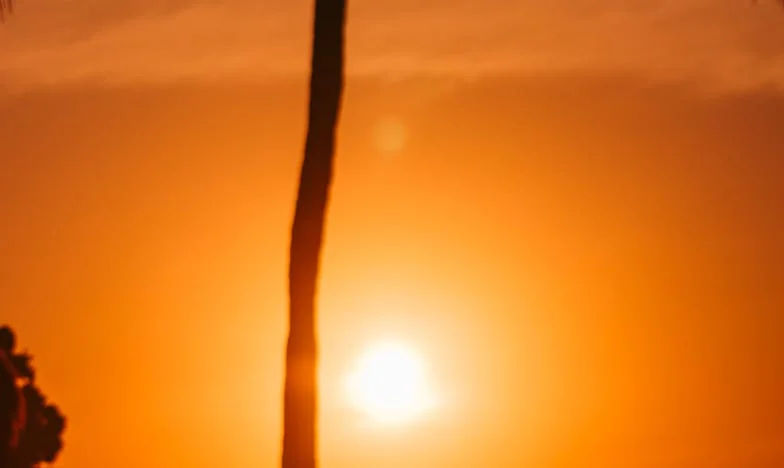 Après la mort de ma mère, j’ai découvert une lettre qu’elle n’a jamais envoyée : toute sa vie, elle a souffert en silence…