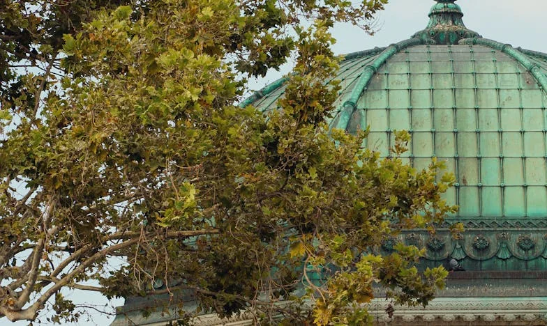 Belle-fille indésirable : Mon combat pour accepter la femme de mon fils et sauver notre famille