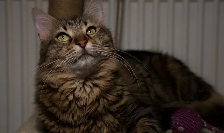 « Ce matin-là, j’ai décidé de leur rendre la pareille : confession d’une belle-mère française »