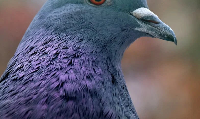 « J’ai cru avoir le gendre idéal… jusqu’à ce qu’il me fasse payer pour garder ma petite-fille »