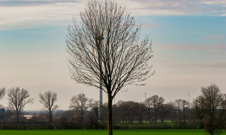 J’ai failli tout perdre : comment la foi m’a sauvé, maman et moi, de la ruine