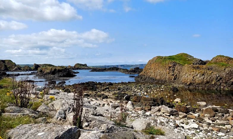 J’ai fui devant la vie : le jour où j’ai abandonné ma famille en apprenant que j’allais être père de triplés