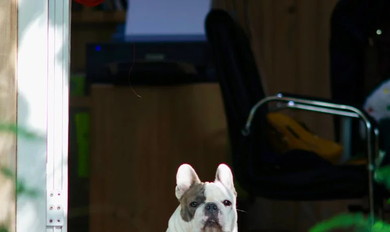 Le discours de la mariée qui a bouleversé tout le mariage : Pourquoi nos tables étaient-elles vides ?