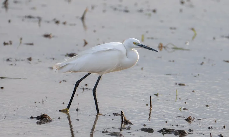 Le jour où Mamie Lucienne a bouleversé mon mariage à 102 ans