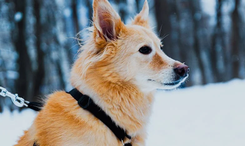 Ma belle-mère m’a posé un ultimatum… et j’ai tout risqué pour retrouver ma dignité