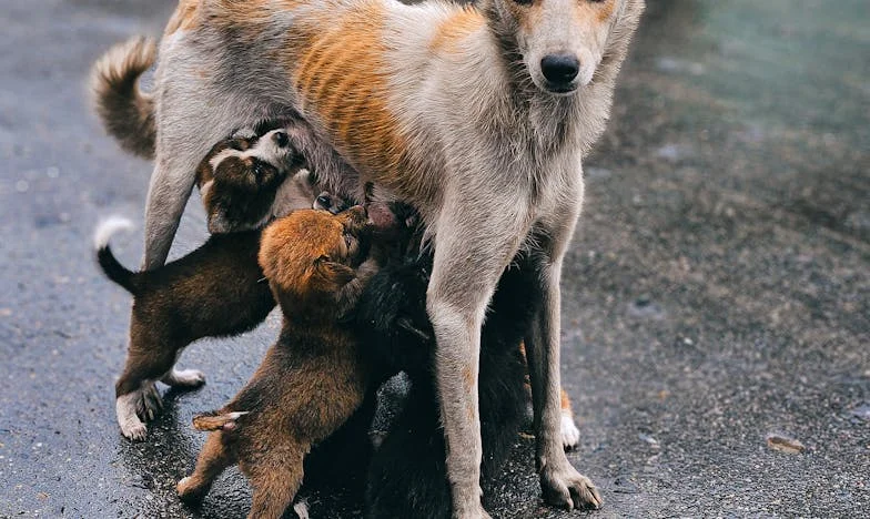 Mon frère revenu du passé : quand la trahison frappe à ma porte