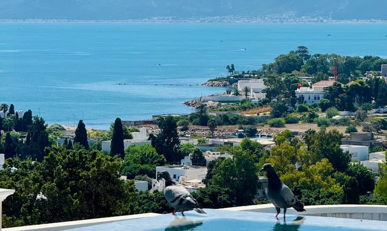 « Quand j’ai vu mon petit-fils pour la première fois, j’ai compris pourquoi ma fille l’avait abandonné : mon histoire de mère et de grand-mère brisée »