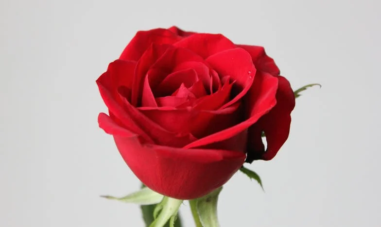 Quand mon passé m’a tendu la main sur la piste de danse : une soirée qui a bouleversé ma vie