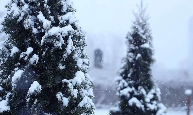 Un appartement hérité à Paris : comment un héritage a brisé ma famille