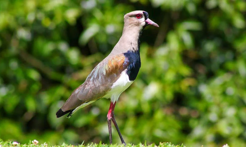 Quand maman m’a annoncé la visite des cousins : Cette fois, j’ai décidé de faire face