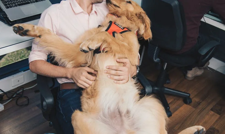 Le Jeu de Maman : Comment j’ai perdu mon foyer et la confiance de ma femme