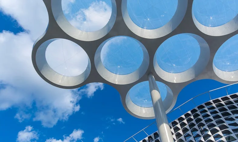 Mon fils m’envoyait de l’argent chaque mois… mais je n’ai jamais rien reçu. Ce que j’ai vu sur les caméras de la banque a détruit ma famille.